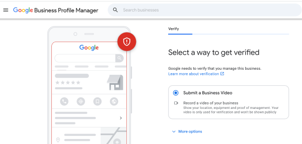 Verification by video