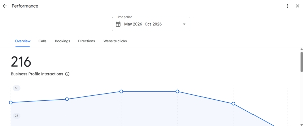Performance section in Google Business Profile